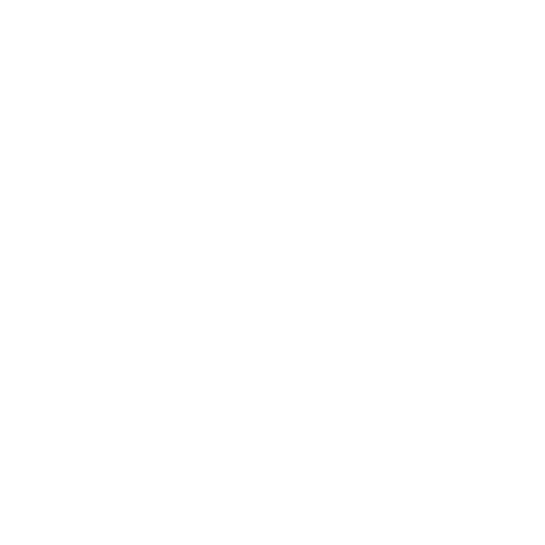ICONA PARIS